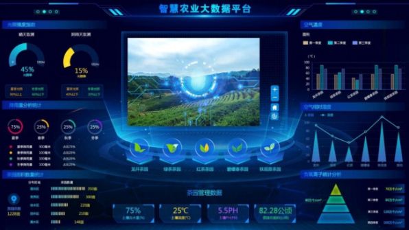 服务图像2