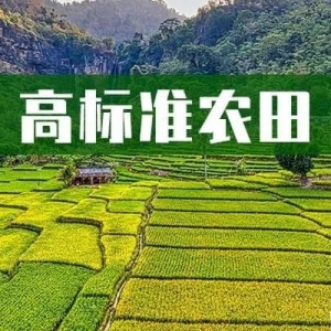 高标准农田建设“6个关键点”