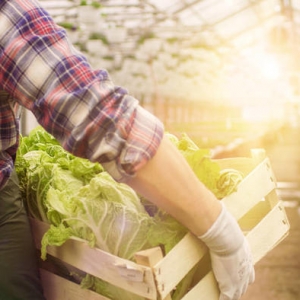 智慧将进入下半场，或许你应该来看看