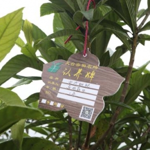 以认种认养认购实现农产品优质优价